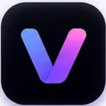 Логотип Vidu