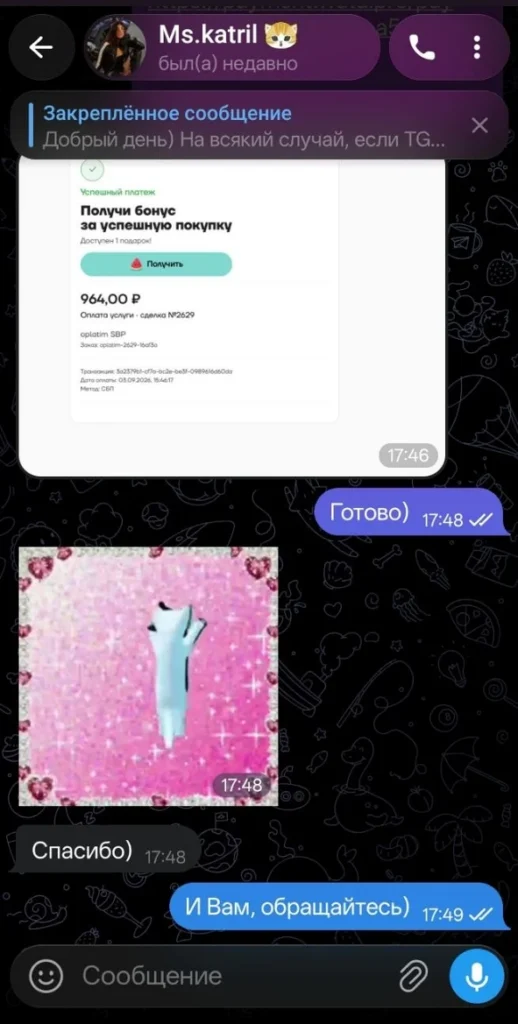 Отзыв клиента об оплате зарубежного сервиса через Oplatim.com, скриншот из Telegram 17