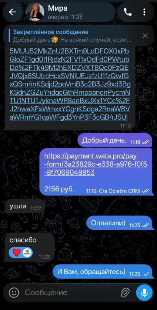 Отзыв клиента об оплате зарубежного сервиса через Oplatim.com, скриншот из Telegram 23