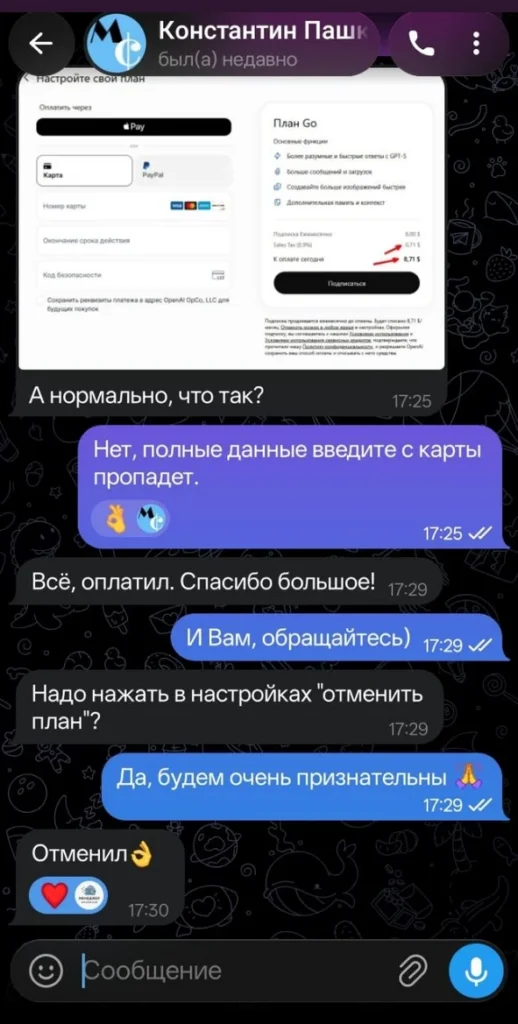 Отзыв клиента об оплате зарубежного сервиса через Oplatim.com, скриншот из Telegram 25